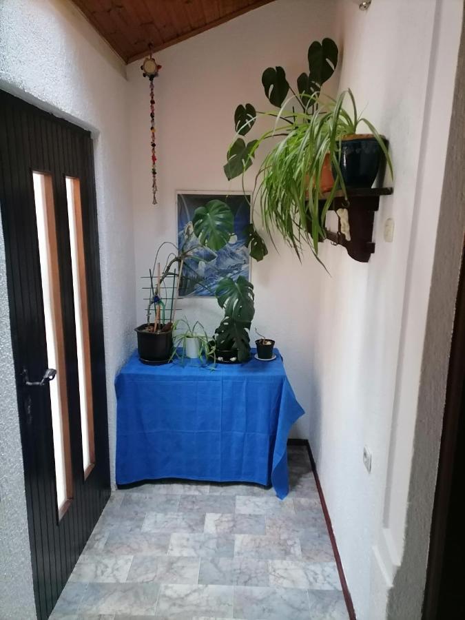Apartman Zepina بولا المظهر الخارجي الصورة